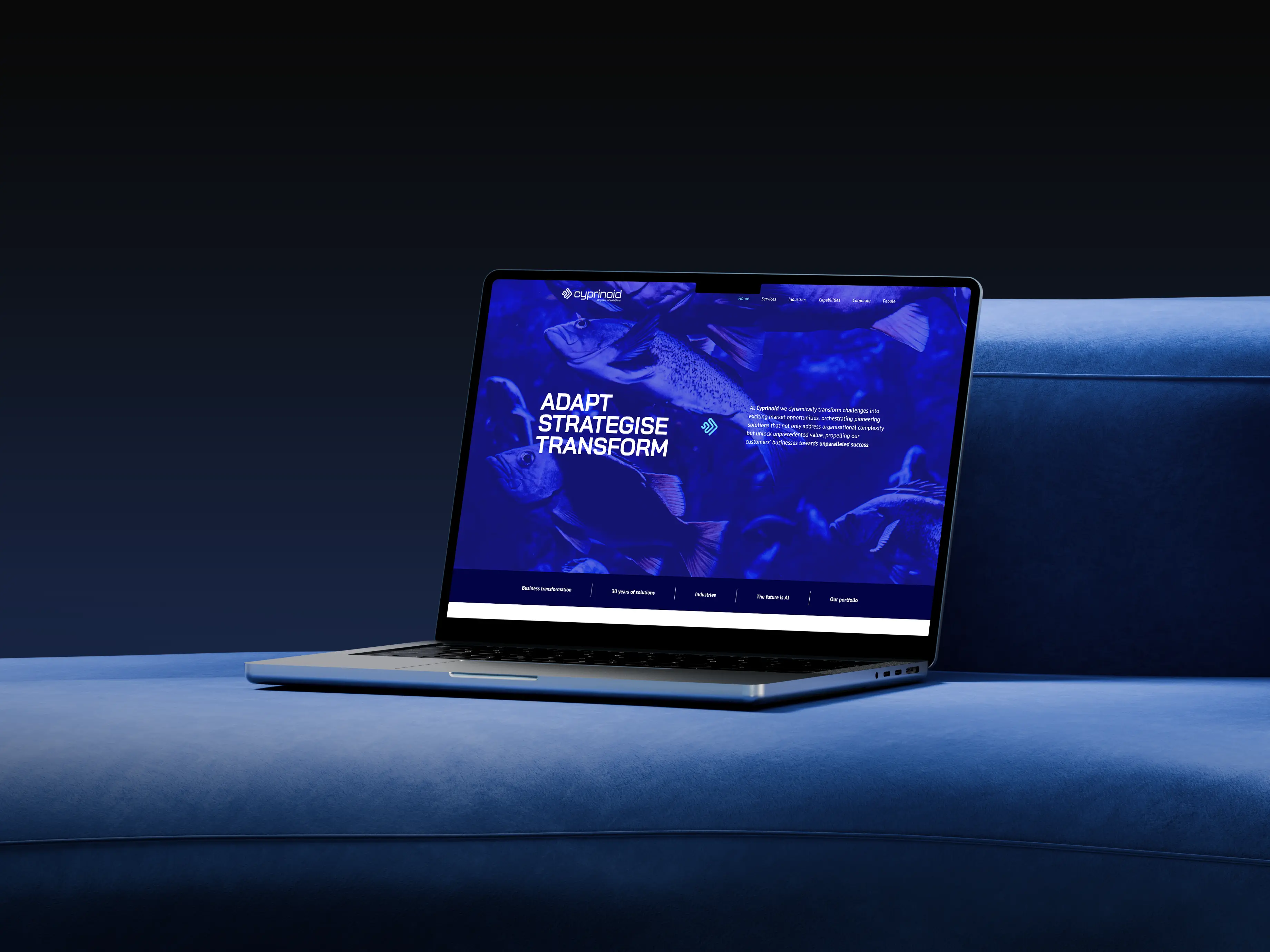 Cyprinoid website on a laptop